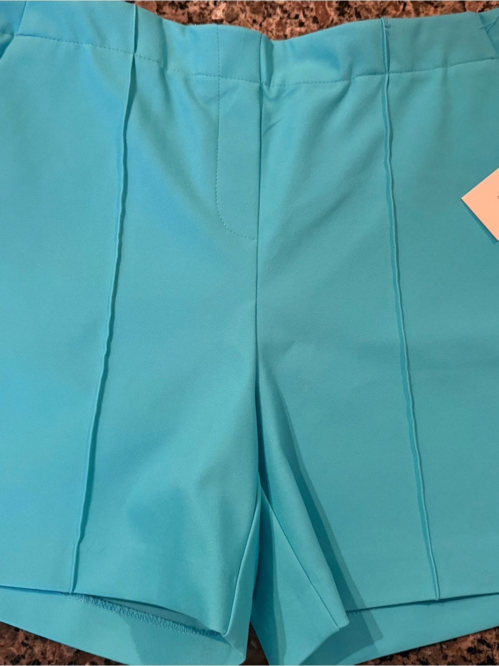 Rachel Zoe Turquoise  Stretch-Waist Shorts